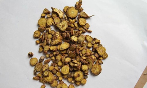 辣麻子功效与作用-麻辣子的功效及图片专区_辣麻籽的功效是什么专区_辣麻子功效网