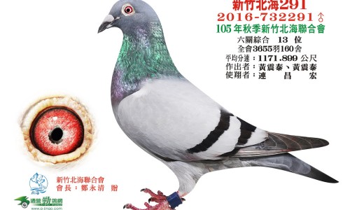 麻辣子的功效及图片专区_辣麻籽的功效是什么专区_辣麻子功效网