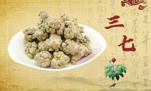 辣麻子怎么使用-麻辣子的功效及图片专区_辣麻籽的功效是什么专区_辣麻子功效网